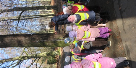 Powiększ grafikę: biedronki-w-parku-oliwskim-681141.jpg