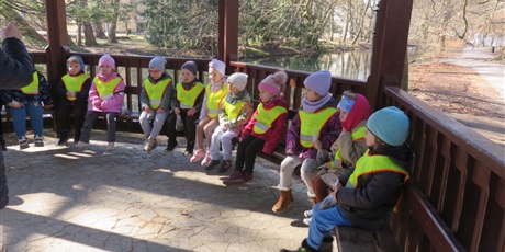 Powiększ grafikę: biedronki-w-parku-oliwskim-681142.jpg