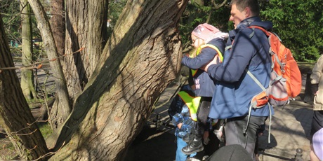 Powiększ grafikę: biedronki-w-parku-oliwskim-681143.jpg