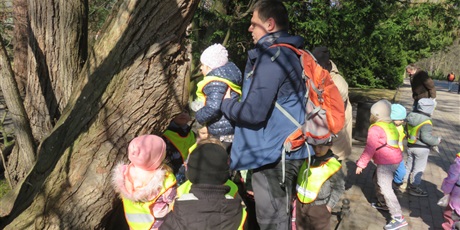 Powiększ grafikę: biedronki-w-parku-oliwskim-681144.jpg