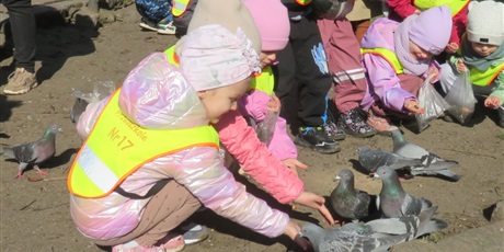 Powiększ grafikę: biedronki-w-parku-oliwskim-681145.jpg