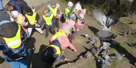 Powiększ grafikę: biedronki-w-parku-oliwskim-681146.jpg