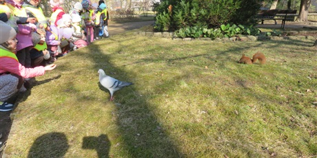 Powiększ grafikę: biedronki-w-parku-oliwskim-681148.jpg