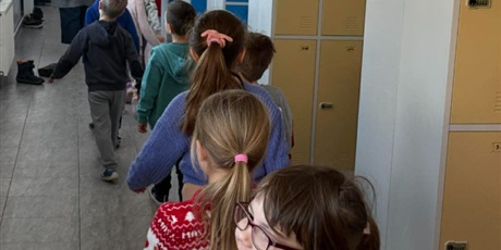 Powiększ grafikę: codzienne-zycie-motyli-678755.jpg