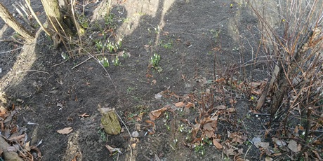 Powiększ grafikę: codzienne-zycie-mrowek-678726.jpg