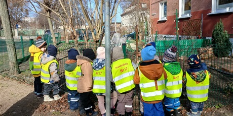 Powiększ grafikę: codzienne-zycie-mrowek-678727.jpg