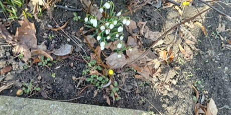 Powiększ grafikę: codzienne-zycie-mrowek-678728.jpg