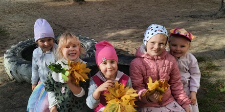 Powiększ grafikę: codzienne-zycie-pszczolek-645305.jpg