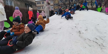 Powiększ grafikę: codzienne-zycie-pszczolek-669508.jpg