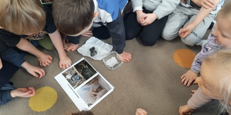 Powiększ grafikę: codzienne-zycie-pszczolek-678734.jpg