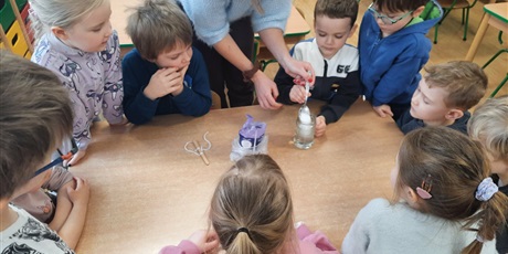 Powiększ grafikę: codzienne-zycie-pszczolek-678735.jpg