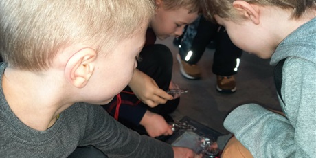 Powiększ grafikę: codzienne-zycie-pszczolek-678738.jpg