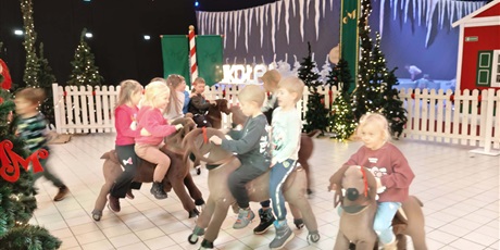 Powiększ grafikę: Wyprowadzanie reniferów na spacer