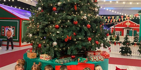 Powiększ grafikę: fabryka-elfow-666703.jpg