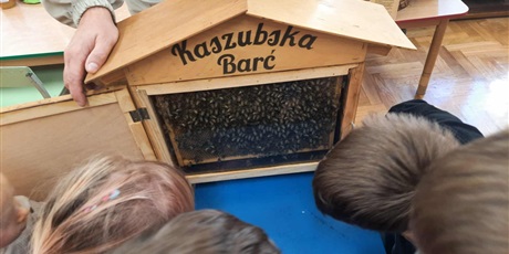 Powiększ grafikę: kaszubska-barc-642611.jpg