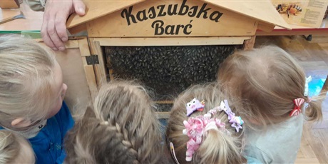 Powiększ grafikę: kaszubska-barc-642639.jpg