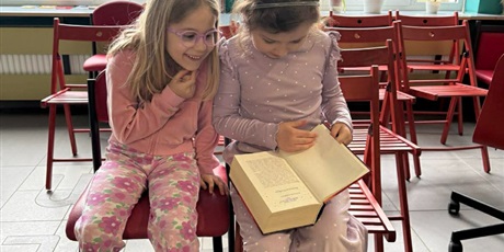 Powiększ grafikę: motylki-w-bibliotece-na-strzyzy-681133.jpg