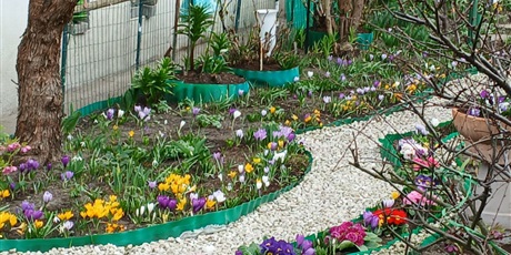 Powiększ grafikę: powitanie-wiosny-683338.jpg