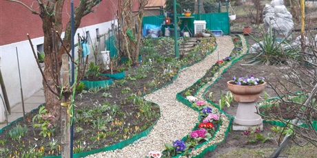 Powiększ grafikę: w-poszukiwaniu-wiosny-681154.jpg