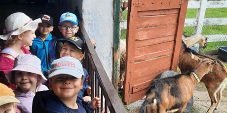 Powiększ grafikę: Pszczółki są zachwycone kózkami
