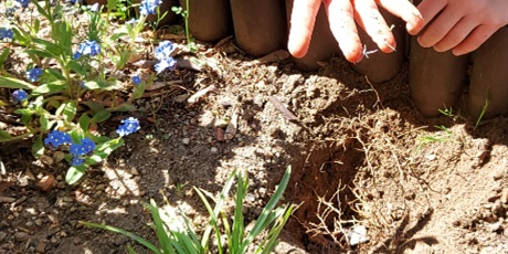 Powiększ grafikę: Pszczółki i Mrówki tworzą wiosenny ogródek