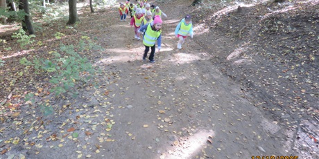 Powiększ grafikę: Plenerowe poniedziałki