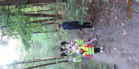 Powiększ grafikę: Plenerowe poniedziałki