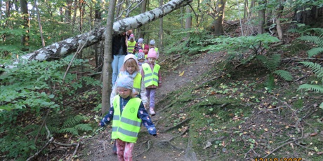 Powiększ grafikę: Plenerowe poniedziałki