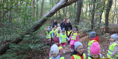 Powiększ grafikę: Plenerowe poniedziałki