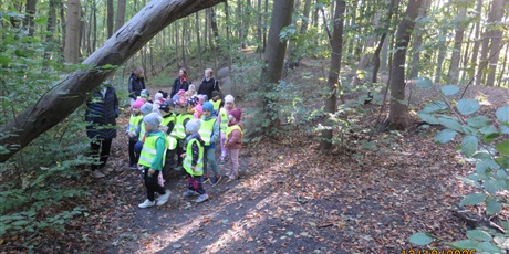 Powiększ grafikę: Plenerowe poniedziałki