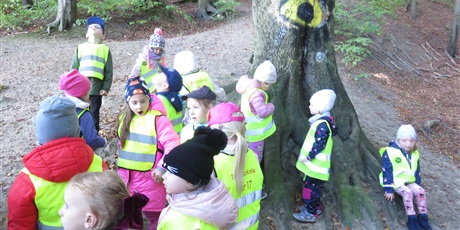 Powiększ grafikę: Plenerowe poniedziałki