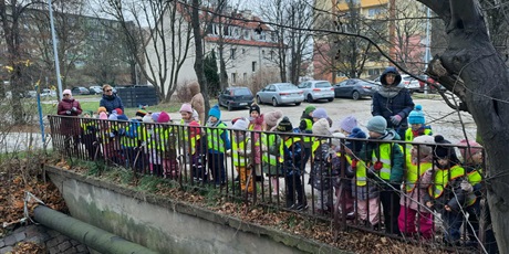 Powiększ grafikę: Plenerowe poniedziałki