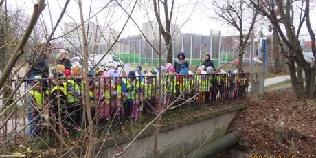 Powiększ grafikę: Plenerowe poniedziałki