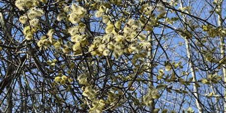 Powiększ grafikę: Plenerowe poniedziałki