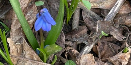 Powiększ grafikę: Plenerowe poniedziałki