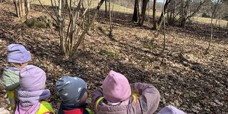 Powiększ grafikę: Plenerowe poniedziałki