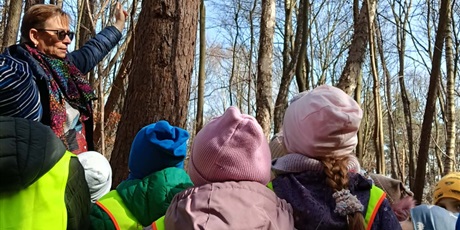 Powiększ grafikę: Plenerowe poniedziałki