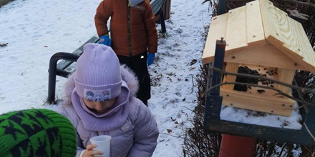 Powiększ grafikę: Program zielonej edukacji w naszym przedszkolu