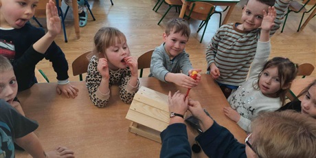 Powiększ grafikę: Program zielonej edukacji w naszym przedszkolu