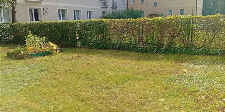 Powiększ grafikę: Program zielonej edukacji w naszym przedszkolu