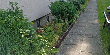 Powiększ grafikę: Program zielonej edukacji w naszym przedszkolu