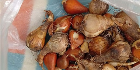 Powiększ grafikę: Program zielonej edukacji w naszym przedszkolu