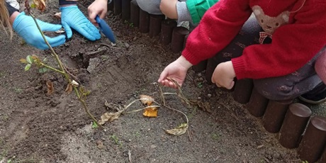 Powiększ grafikę: Program zielonej edukacji w naszym przedszkolu