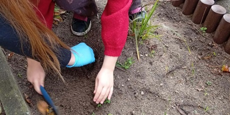 Powiększ grafikę: Program zielonej edukacji w naszym przedszkolu