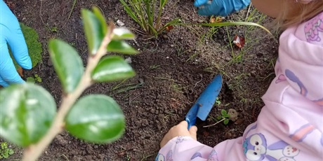 Powiększ grafikę: Program zielonej edukacji w naszym przedszkolu