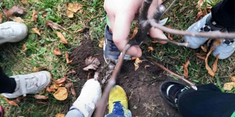 Powiększ grafikę: Program zielonej edukacji w naszym przedszkolu