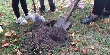 Powiększ grafikę: Program zielonej edukacji w naszym przedszkolu