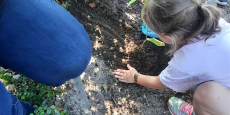 Powiększ grafikę: Program zielonej edukacji w naszym przedszkolu