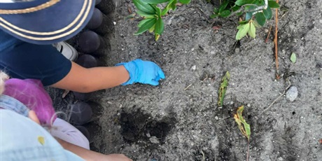 Powiększ grafikę: Program zielonej edukacji w naszym przedszkolu