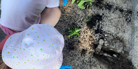 Powiększ grafikę: Program zielonej edukacji w naszym przedszkolu